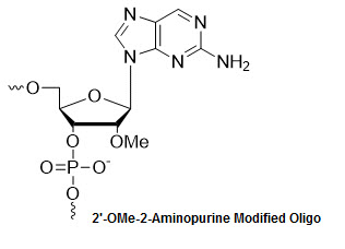 Bio-Synthesis Inc. Oligo Structure